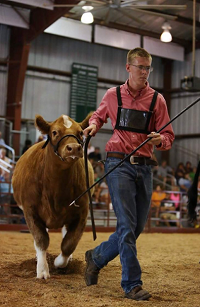 Senior Rylan Rutledge struts his stuff at the Hendricks County Fair.