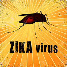 Zika virus